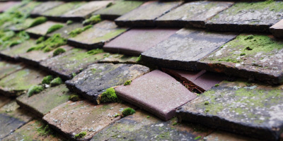 Wendover Dean roof repair costs